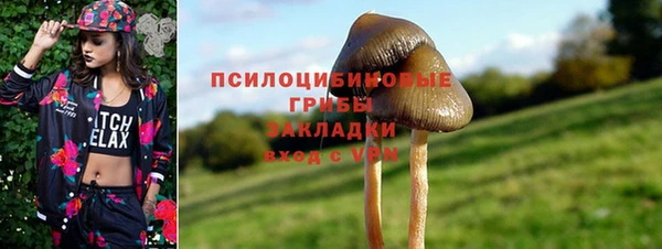 дурь Алзамай
