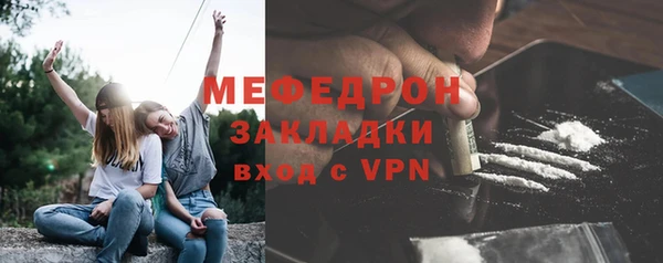 шишки Медвежьегорск
