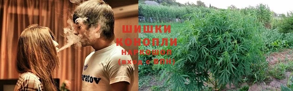 прущие грибы Абдулино