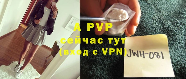 амф Алексин