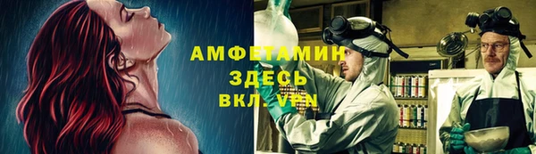 амф Алексин