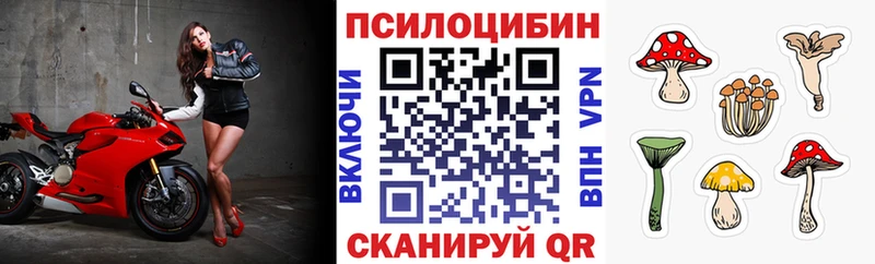 Псилоцибиновые грибы GOLDEN TEACHER  МЕГА рабочий сайт  Пенза  наркошоп 