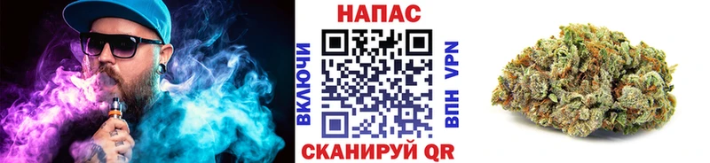 Бошки Шишки MAZAR где купить блэк спрут ссылка Пенза